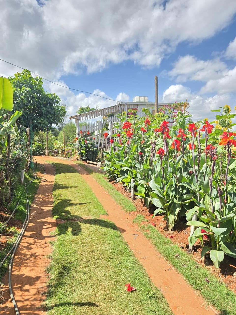 Elmadel Coffee Gardens & Village- Family Villas, Couples Chalets, Holiday Getaway & Garden Coffee Shop, Rustic Gardens- 50kms from Nairobi Chalet in Kenya