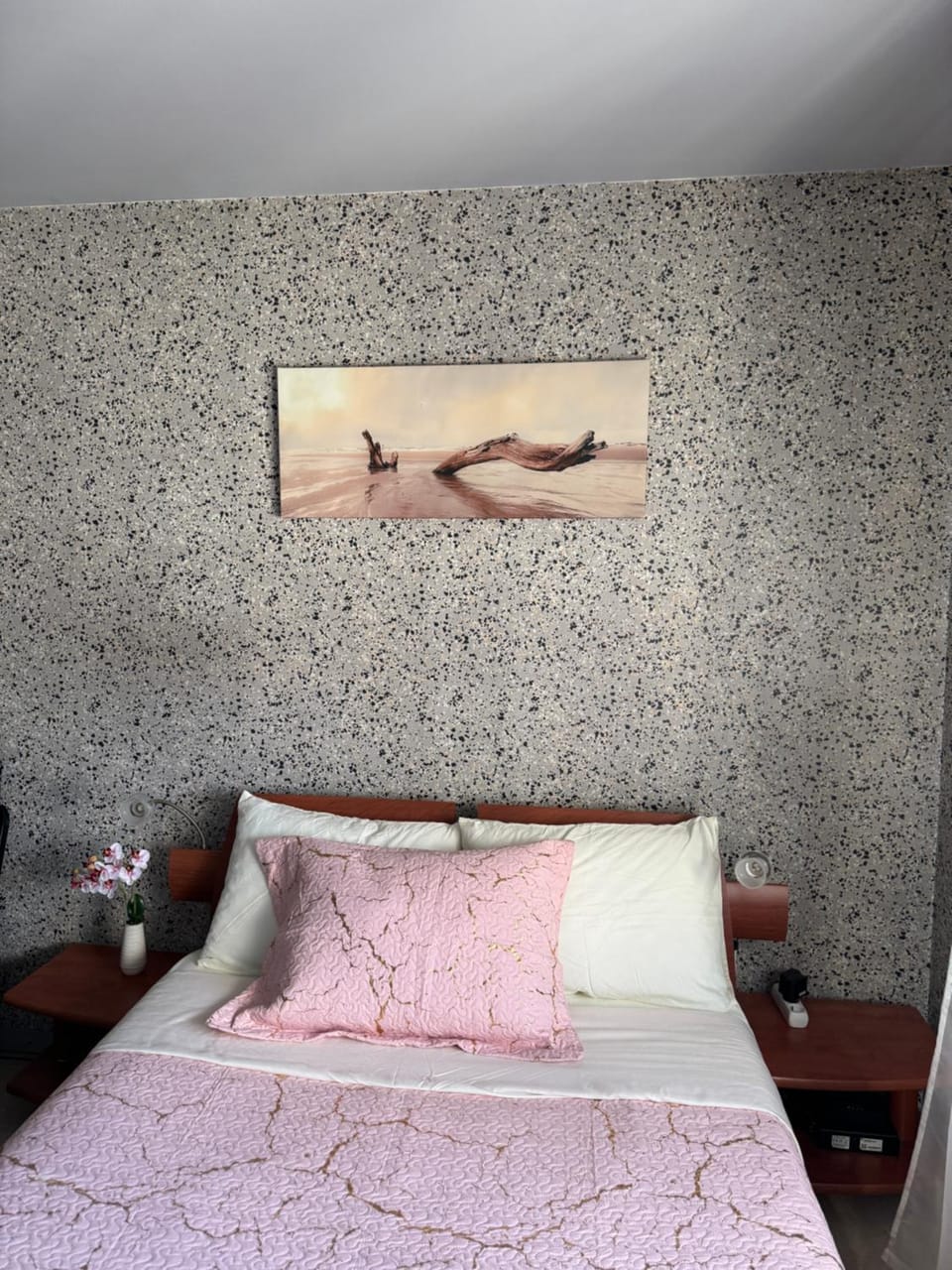 Studio Lyon Plage Apartment in Caluire-et-Cuire