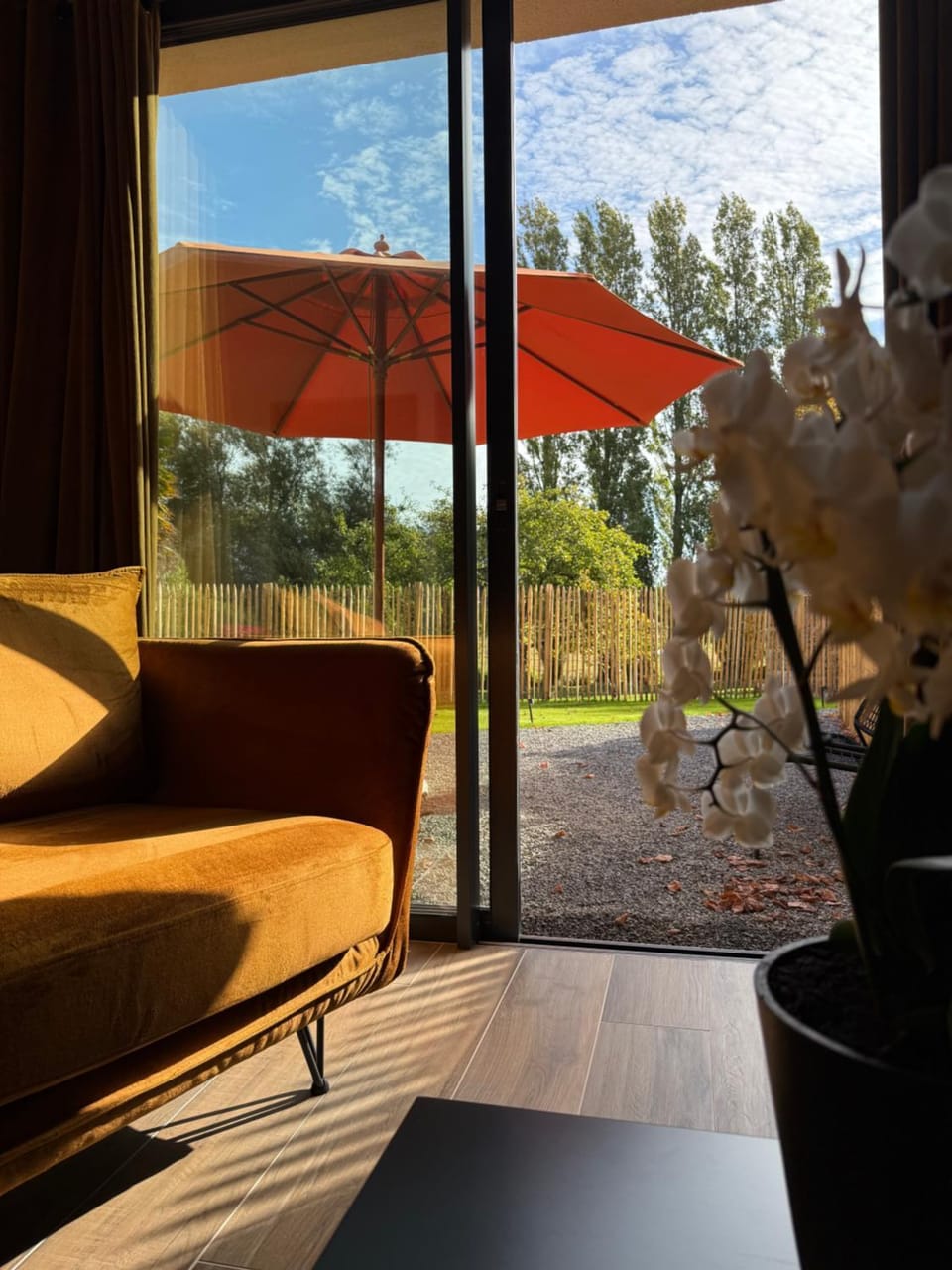 Garden view