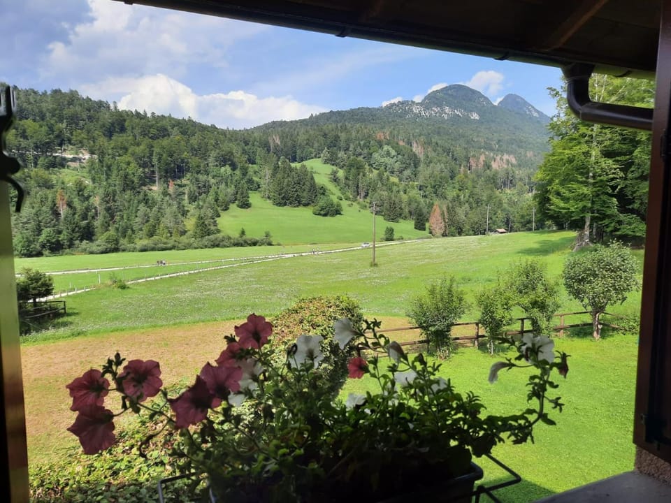 Natural landscape, Mountain view