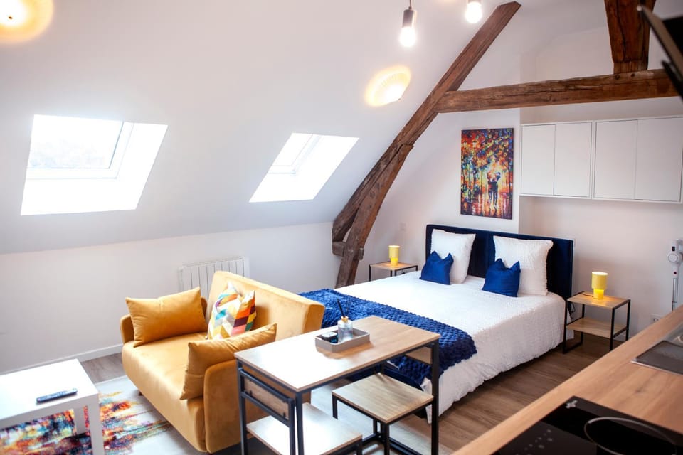 Logement Cosy au cœur de Blois Apartment in Blois