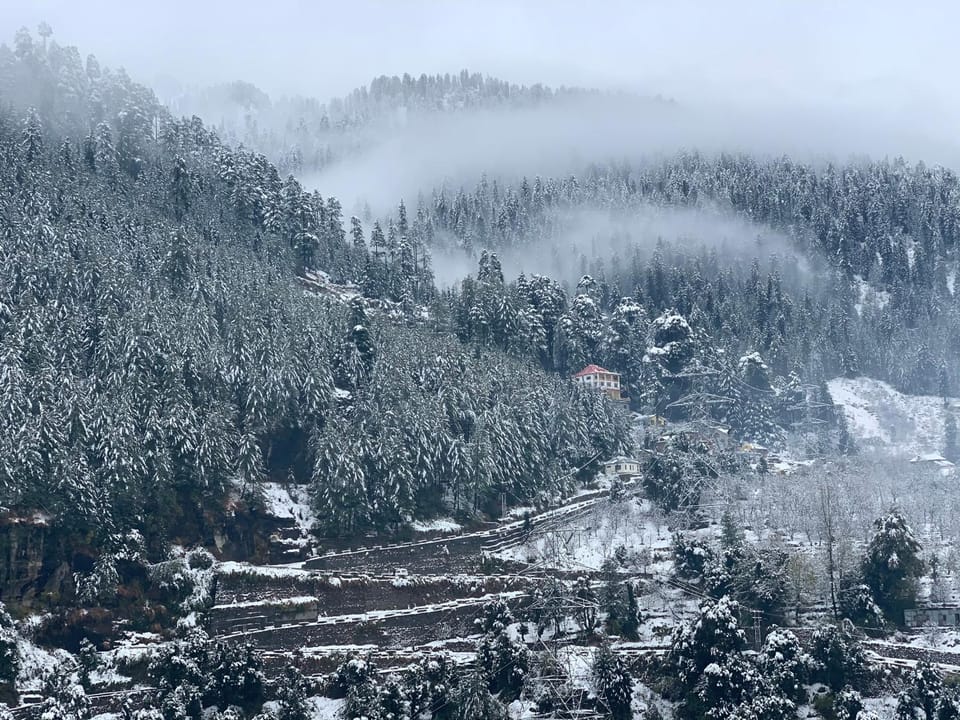 Abode Home Cool & Homely Place Bed and Breakfast in Manali