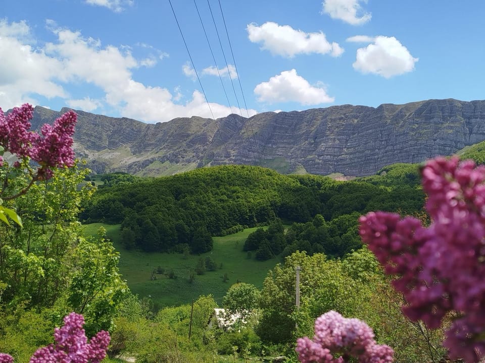 Mountain view