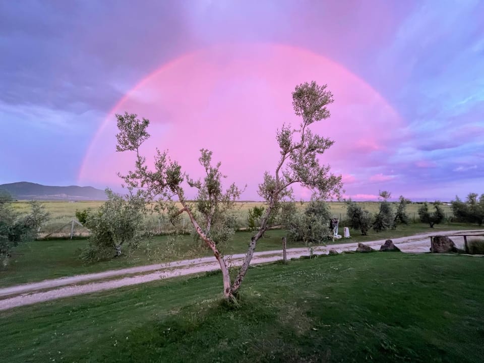Natural landscape