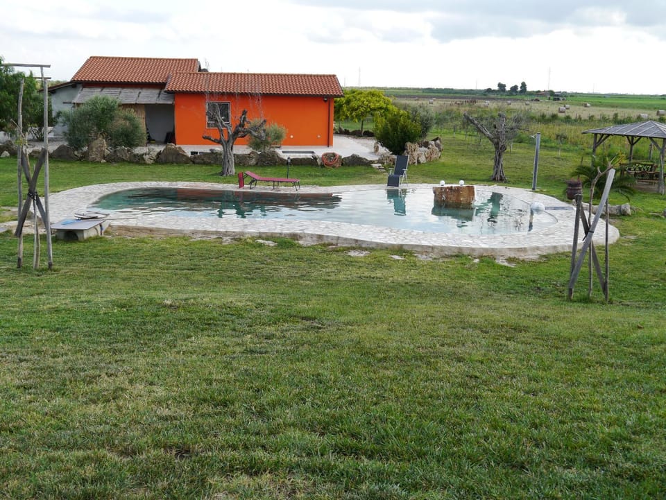 Garden, Swimming pool