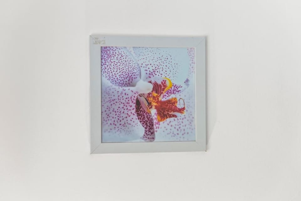 Flat with free parking in Oxford Apartment in Oxford