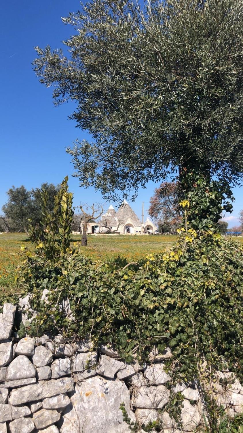Property building, Natural landscape, Garden view