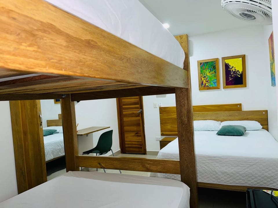 Bed, Photo of the whole room, Bedroom, bunk bed