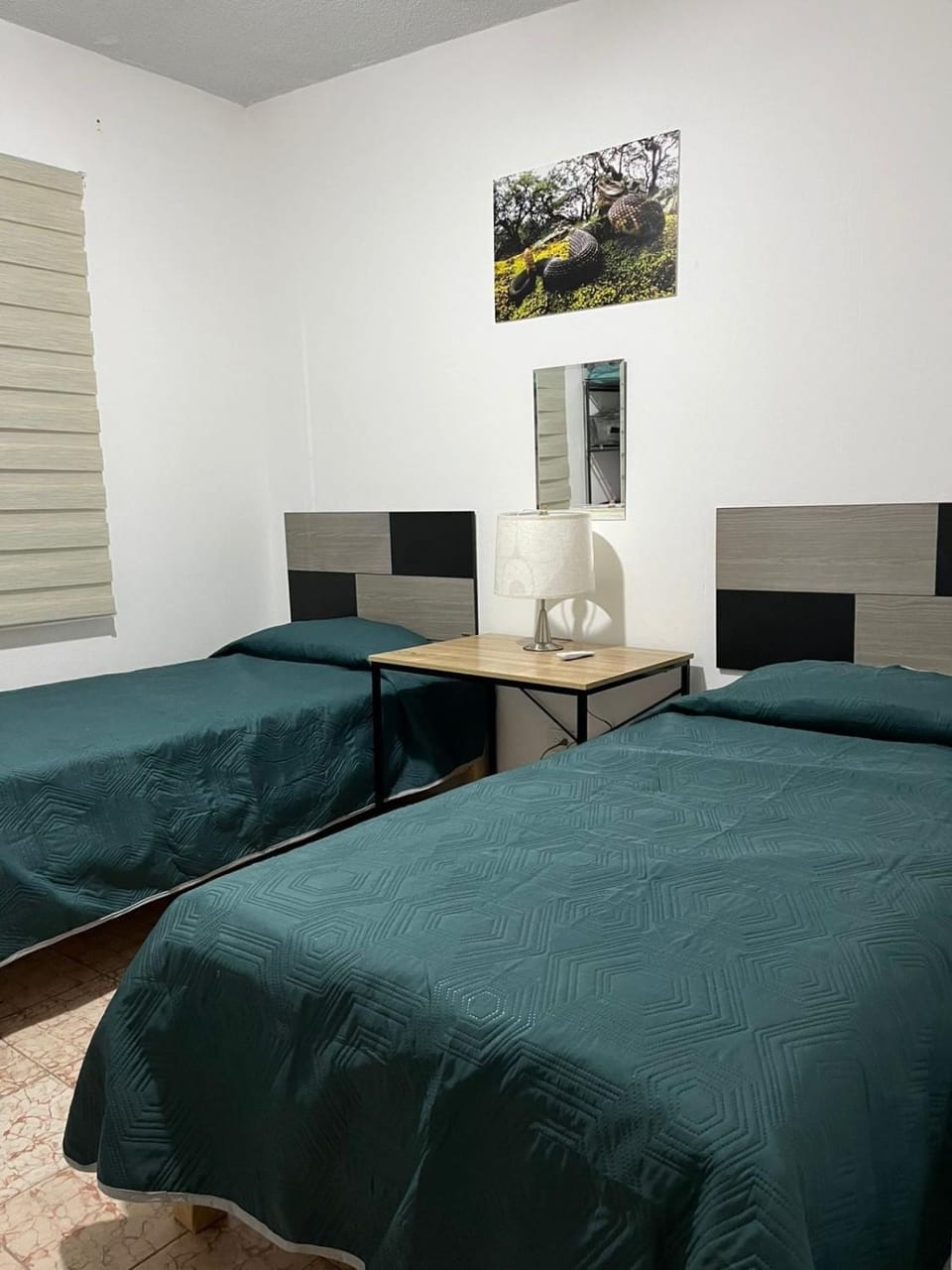 nice comfortable house an excellent location, Apartment in Aguascalientes