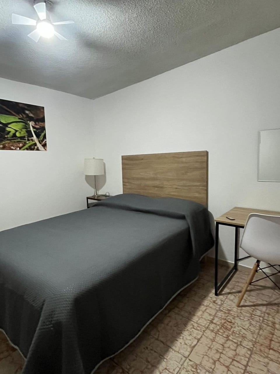 nice comfortable house an excellent location, Apartment in Aguascalientes