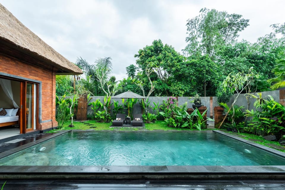 Pool view, Swimming pool