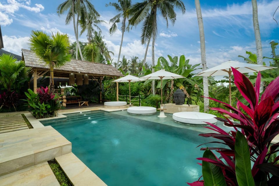 Day, Garden, Garden view, Pool view, Swimming pool, sunbed