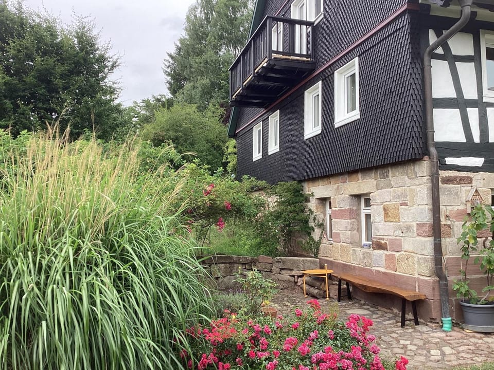Property building, Garden view