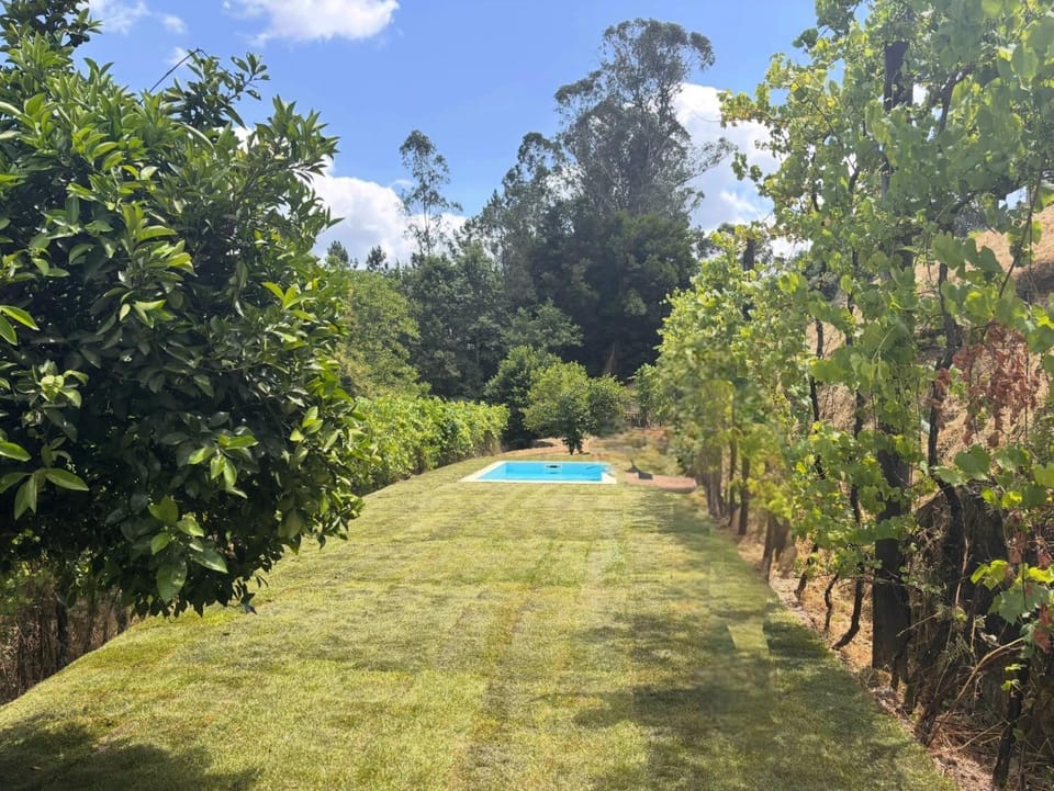 Vila Felicia House in Vila Real District