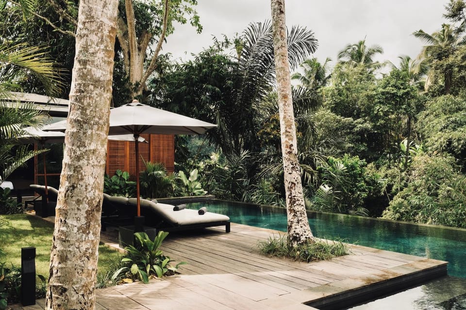 Natural landscape, Pool view, Swimming pool, sunbed