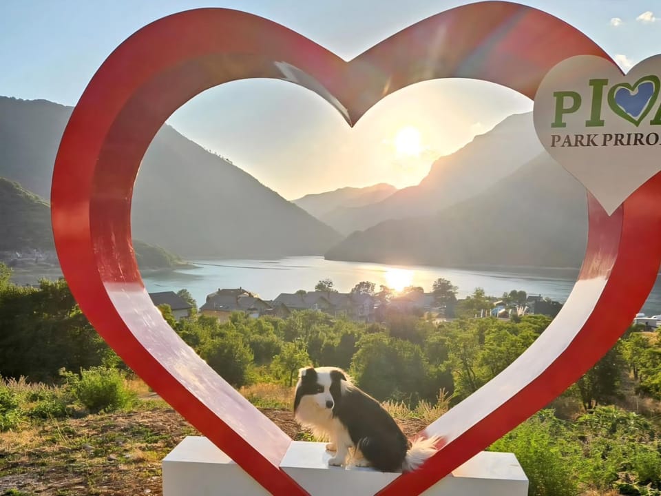 DSM & Victory Apartment in Montenegro