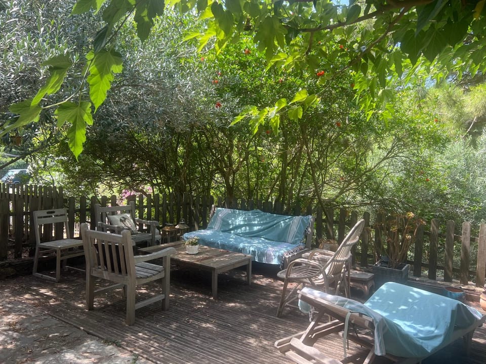 Patio, Balcony/Terrace, sunbed
