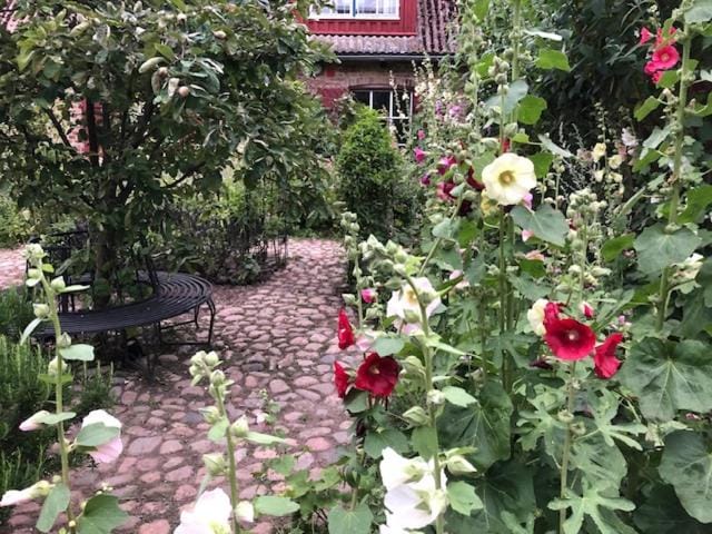 Day, Garden view