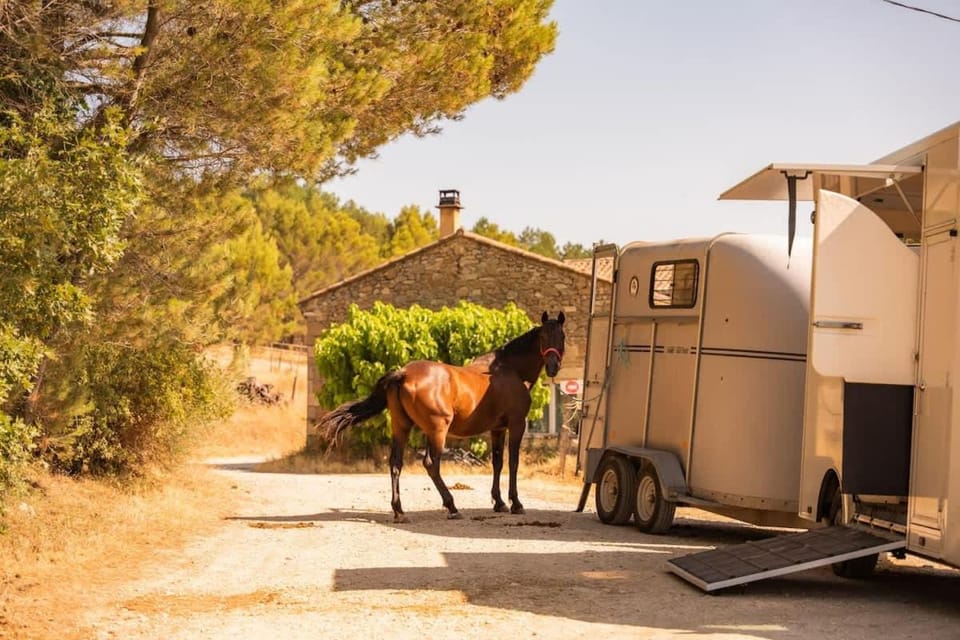 Homnest - Observatoire des Préalpes & Cheval House in Provence-Alpes-Côte d'Azur