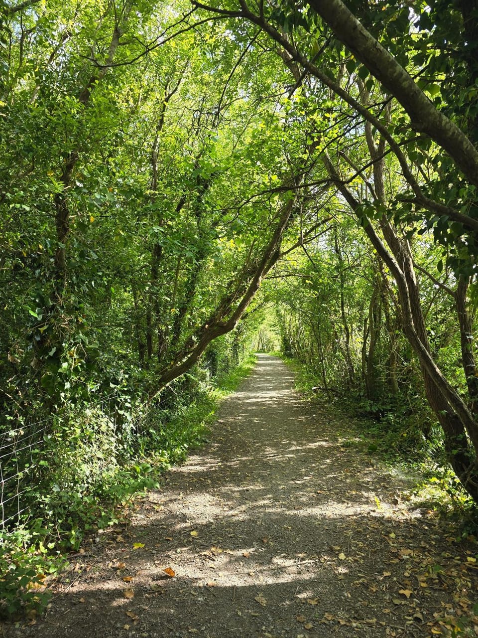 The Caravan House in Wales