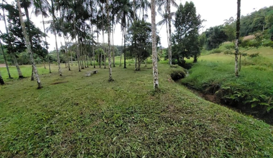 Natural landscape, Garden, Garden view