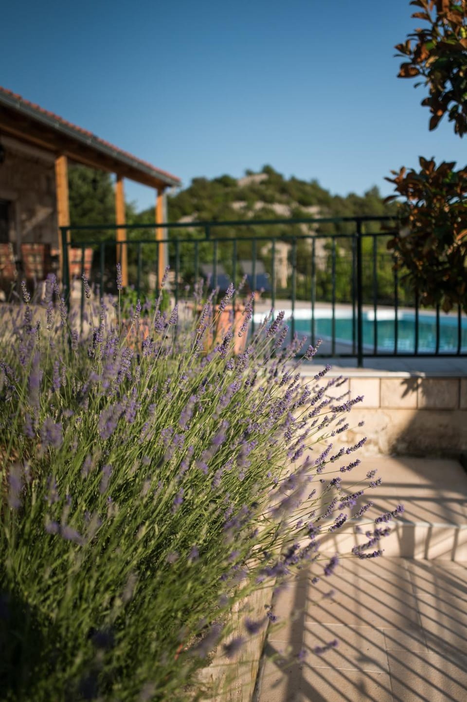 Pool view