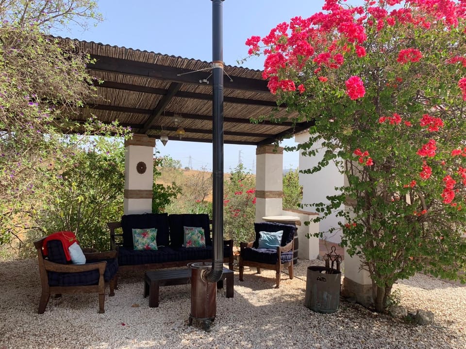 Garden, Seating area, Garden view
