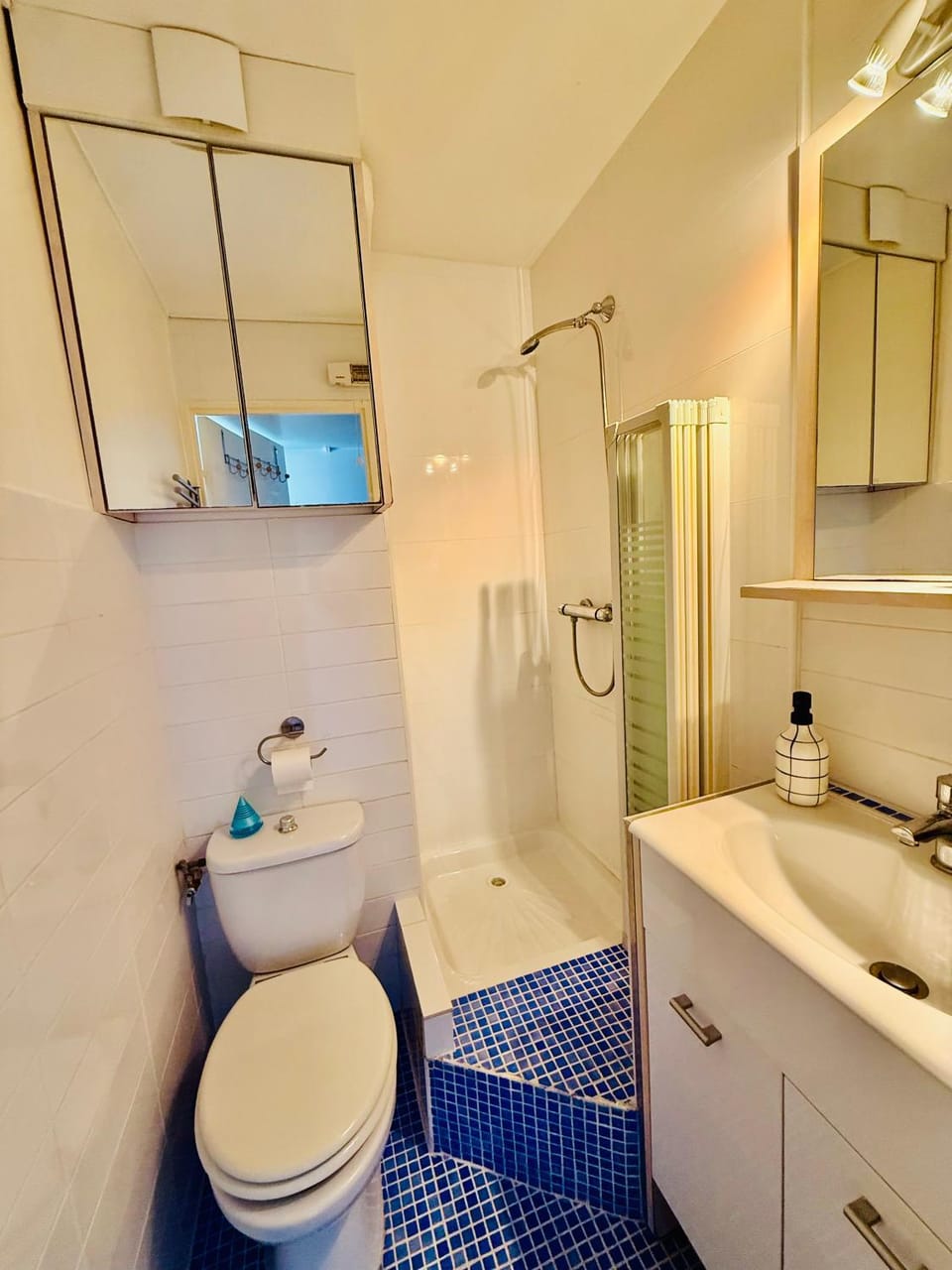 Toilet, Bathroom