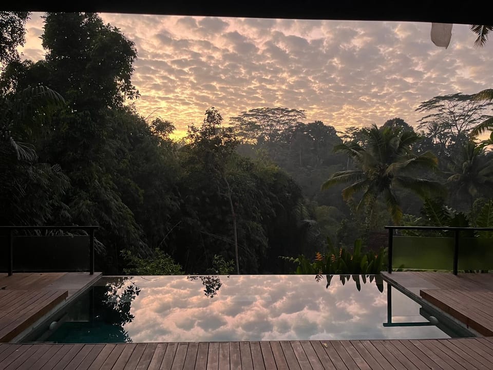 Pool view, Swimming pool, Sunrise