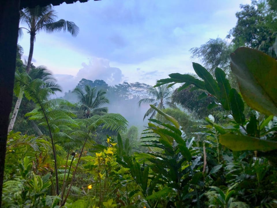 View (from property/room), View (from property/room)