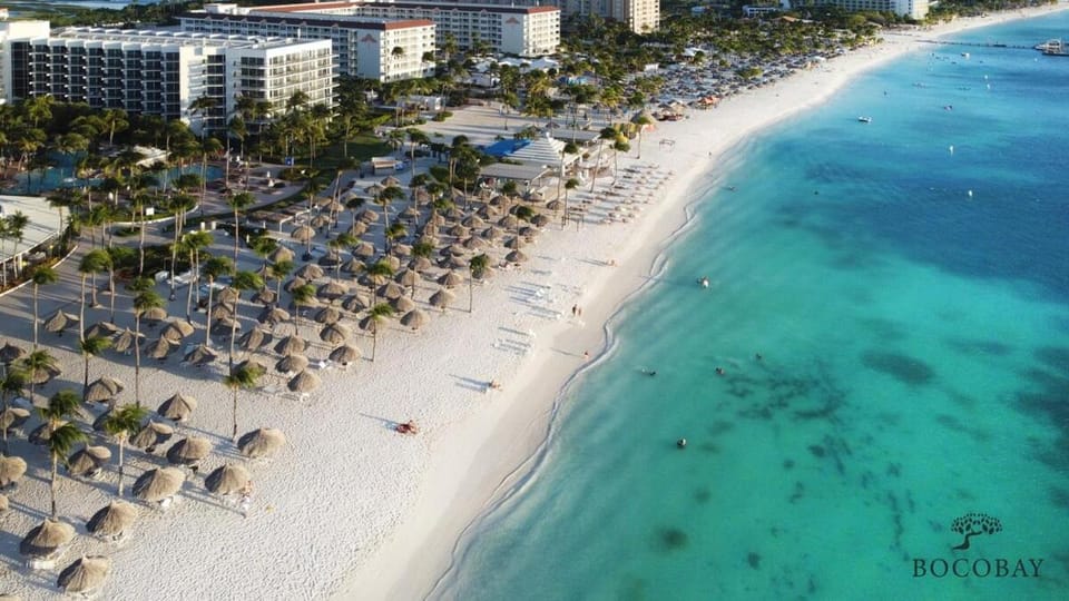 Natural landscape, Bird's eye view, Beach