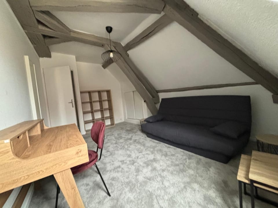 Appartement lumineux centre historique Troyes- 2 à 6 personnes Apartment in Troyes