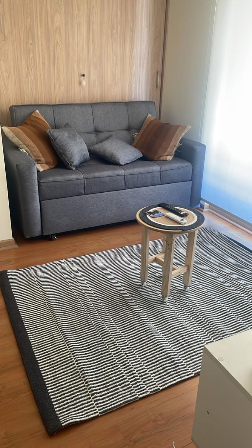 Dpto Marcoleta Apartment in Santiago