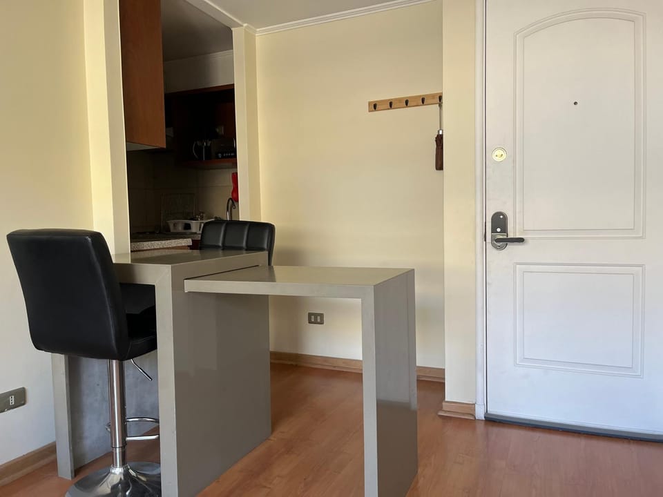 Dpto Marcoleta Apartment in Santiago