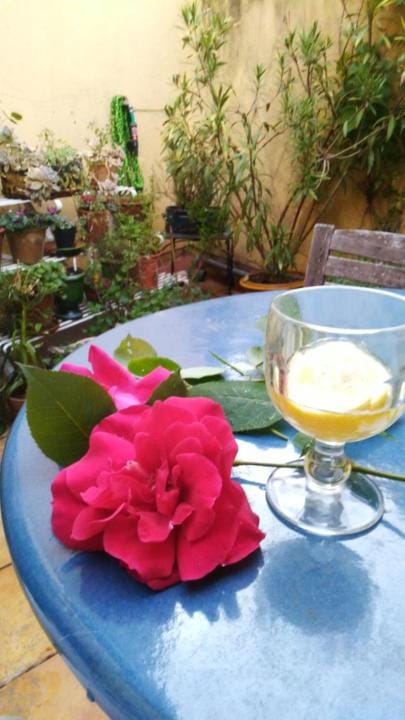 Patio, Balcony/Terrace