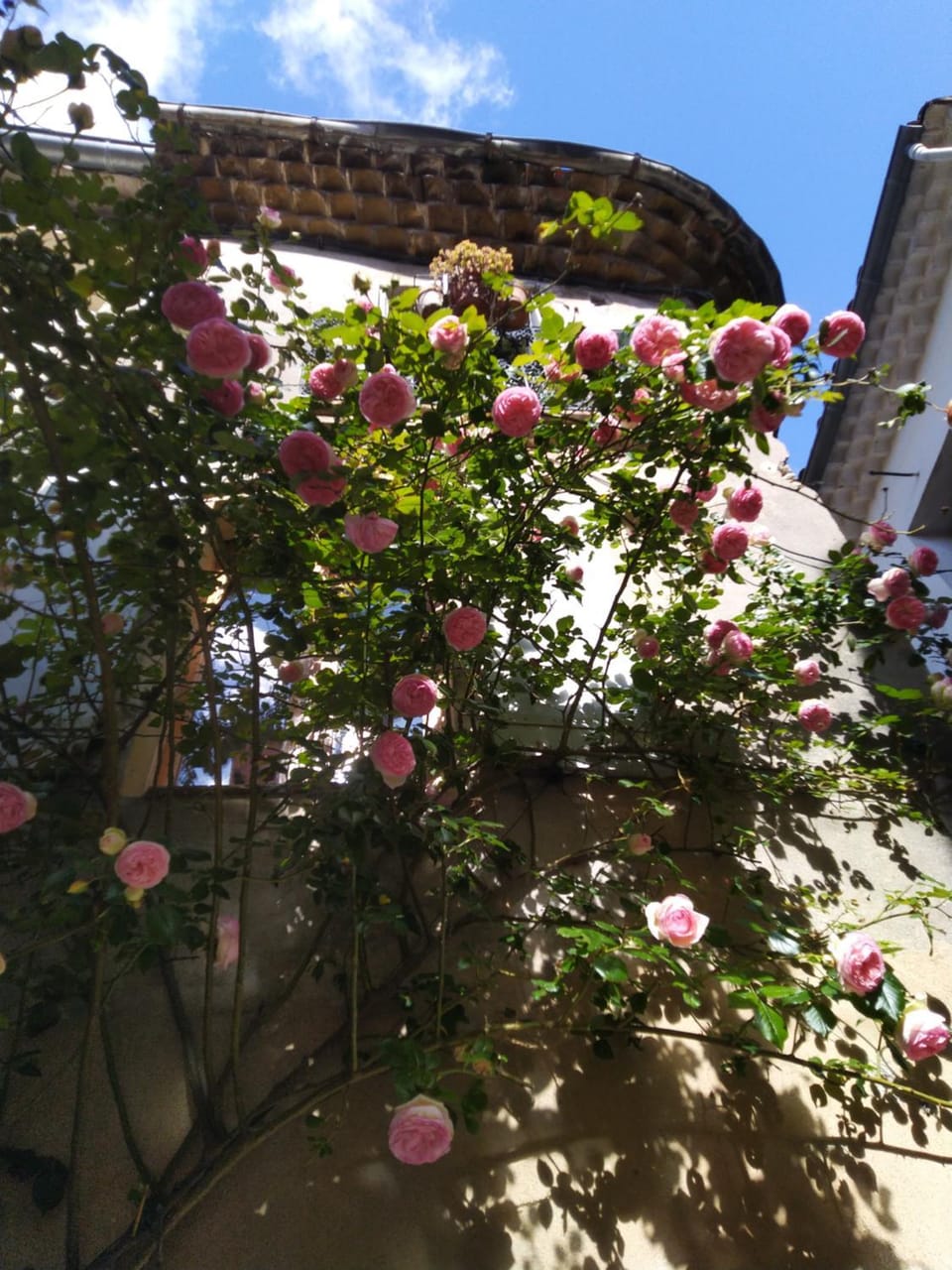Quiet street view