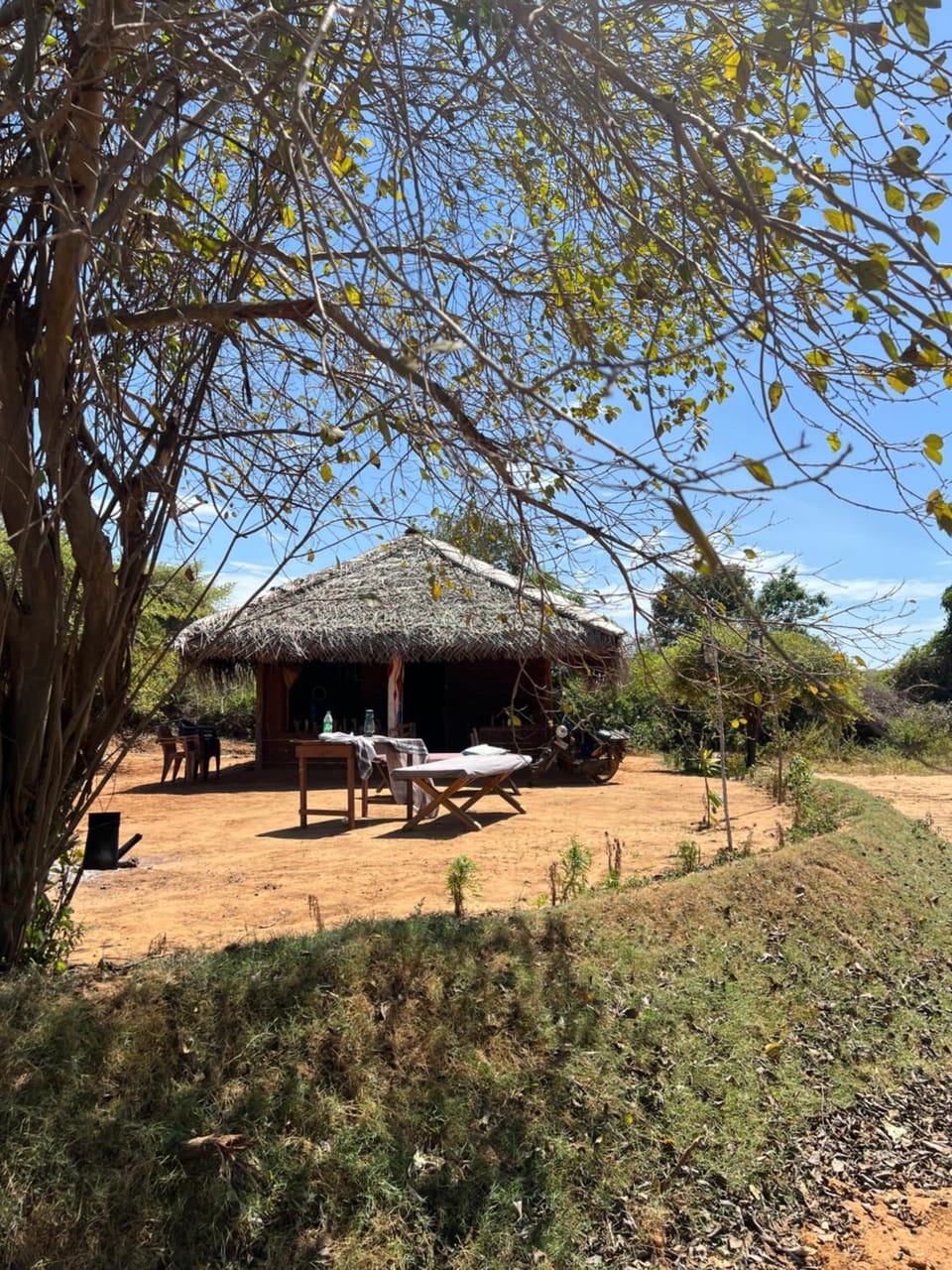 Property building, Day, Natural landscape, Garden