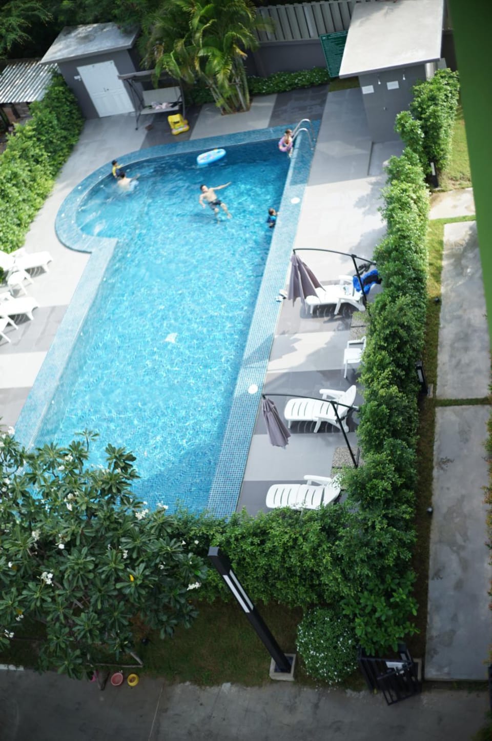 Day, Bird's eye view, Swimming pool, Swimming pool, Family