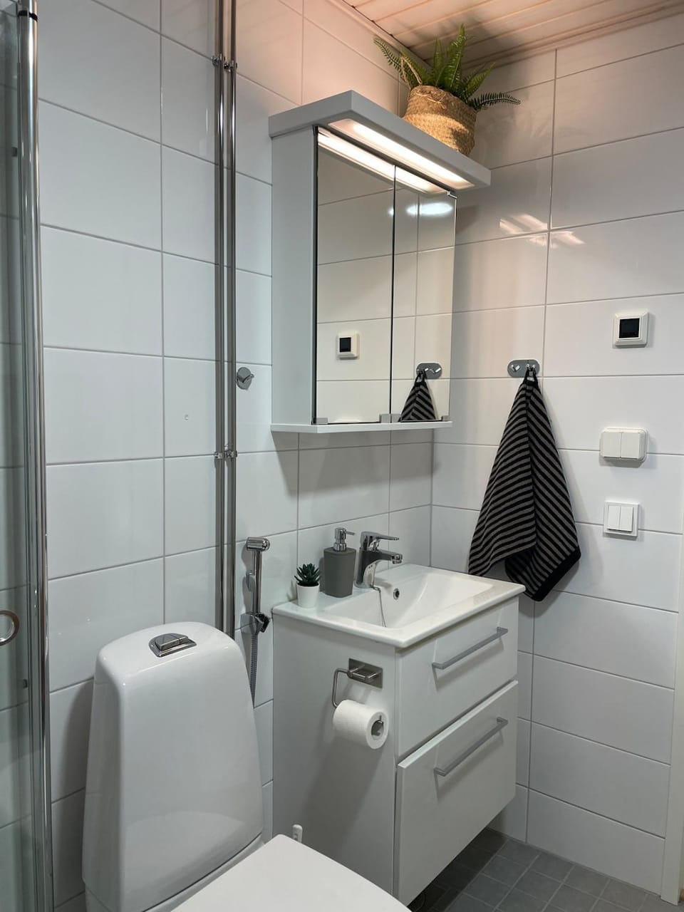 Toilet, Bathroom