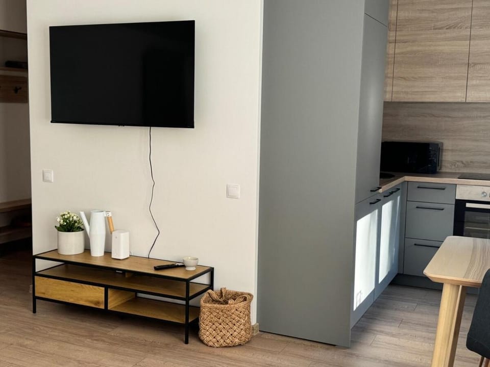 Center Studio type Apartment Apartment in Latvia