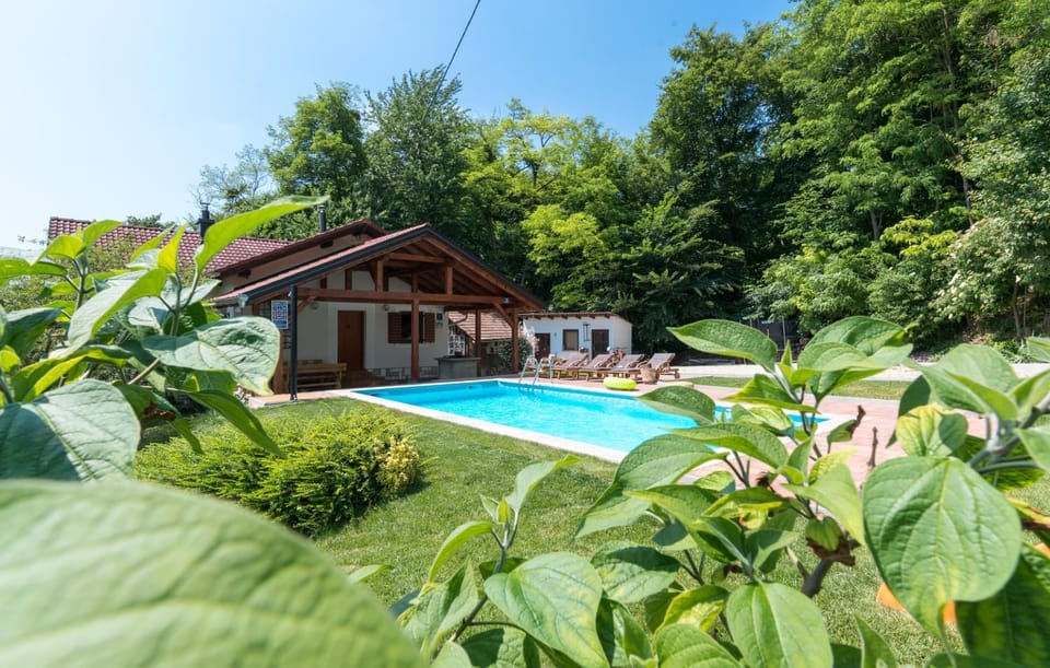Medimurski Ceker - pool, jacuzzi, sauna House in Slovenia