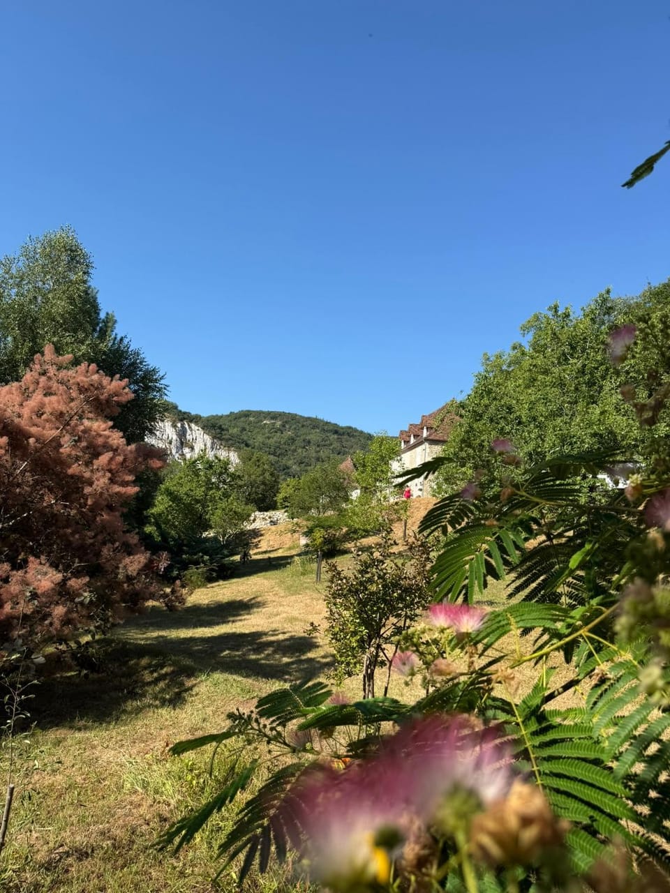 Natural landscape