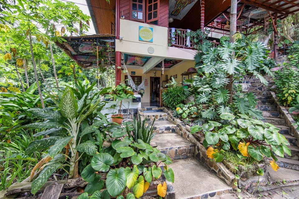 Property building, Garden