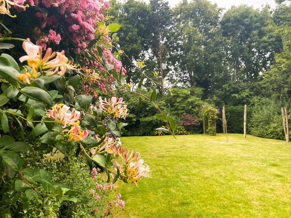 Garden, Garden