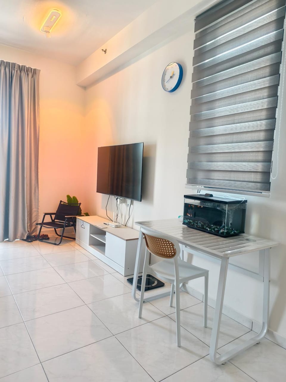 TV and multimedia