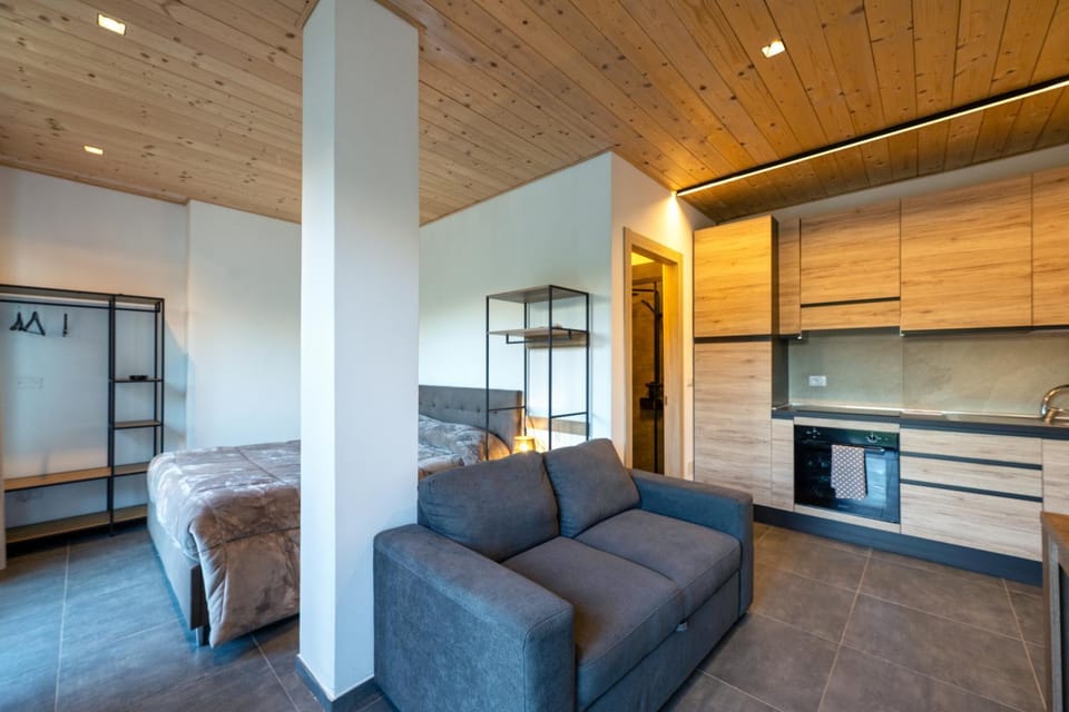 Bed, Kitchen or kitchenette, Living room, Photo of the whole room, Bedroom, stove