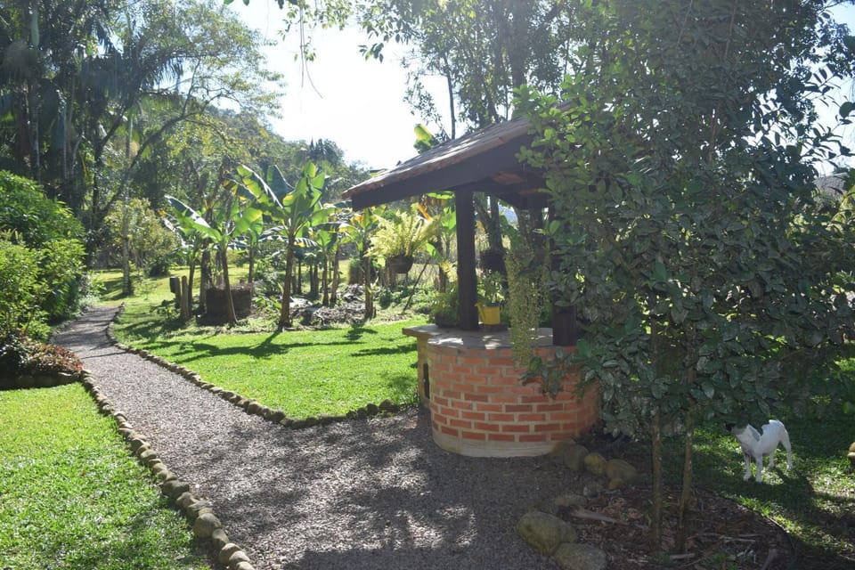Natural landscape, Garden, Garden view