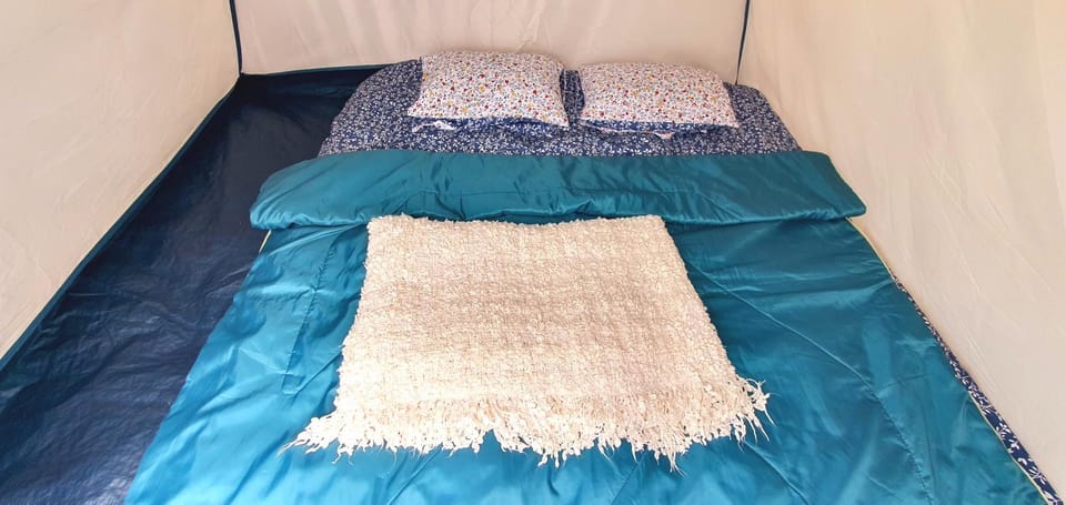 Shower, Bed, bunk bed, kitchen