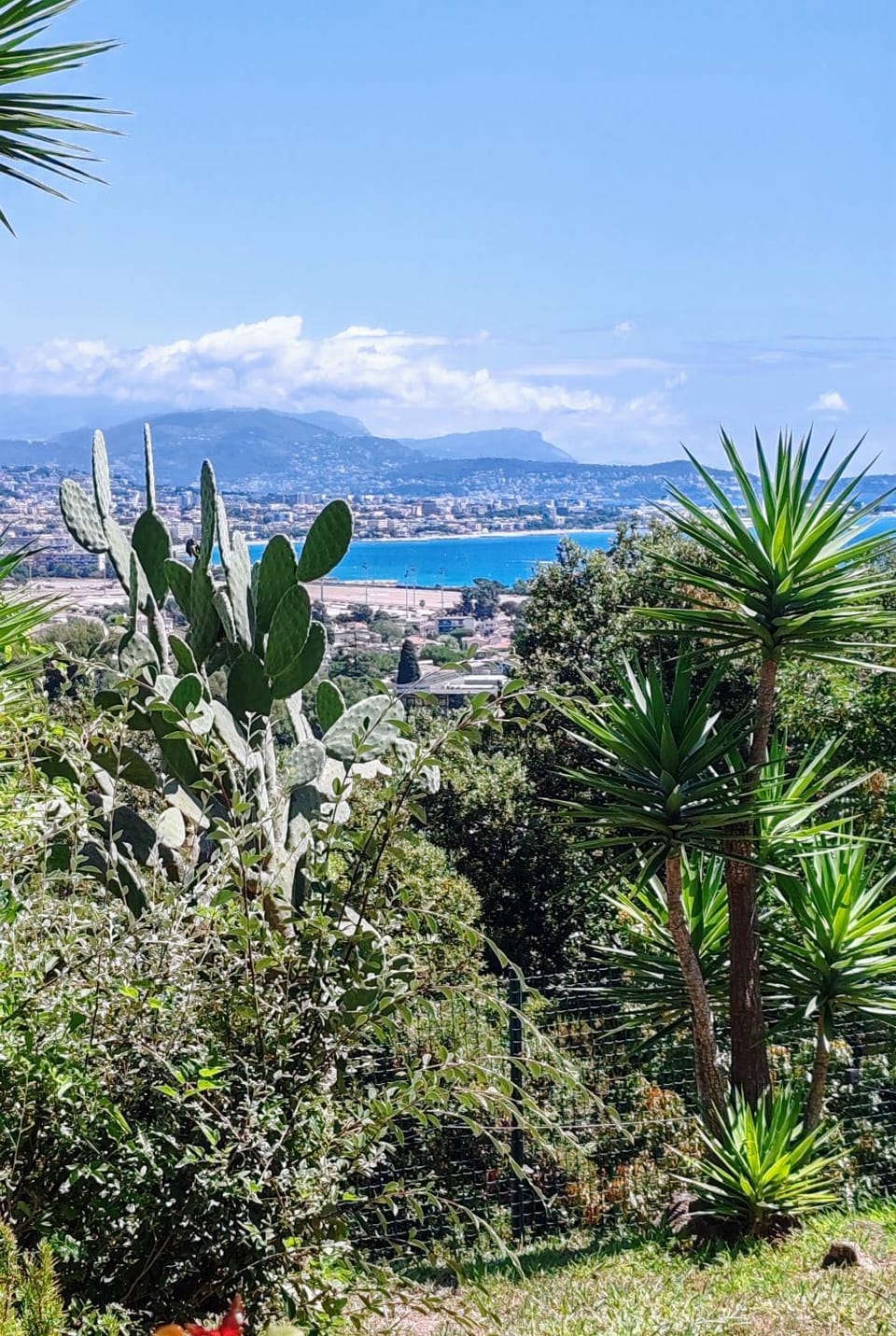 Beautiful Garden Apartment with Sea View 2 Bedrooms Ensuite Apartment in Villeneuve-Loubet