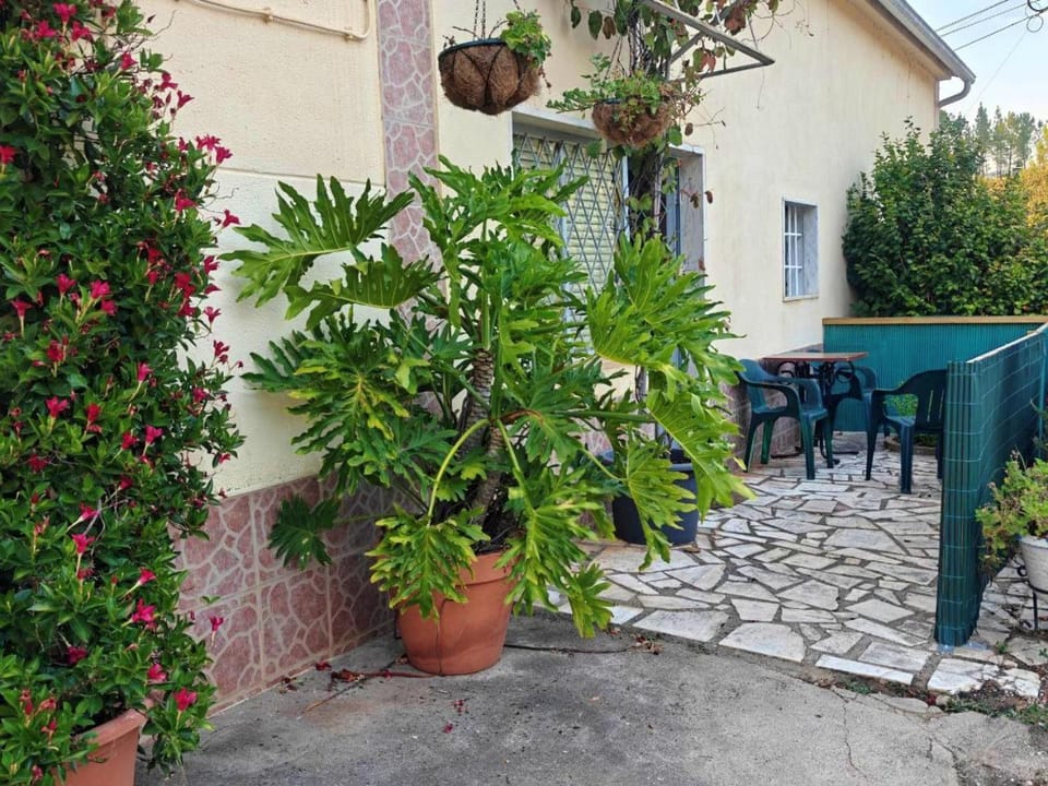Property building, Patio, Patio
